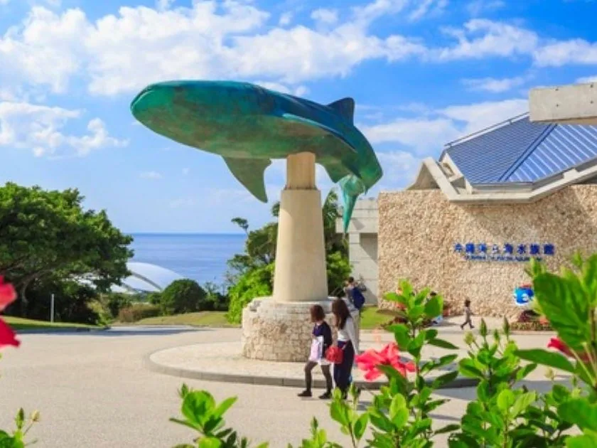 The whale shark statue at Churaumi Aquarium